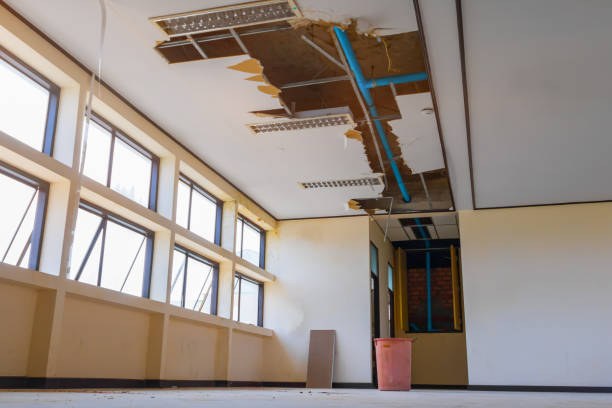 Best Sewage cleanup and water damage restoration  in Wellington, UT
