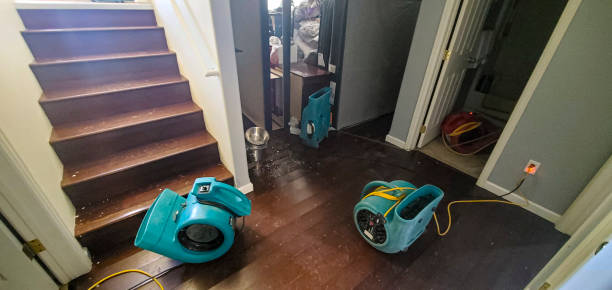 Best Basement water damage restoration  in Wellington, UT