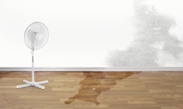  Wellington, UT Water damage restoration Pros