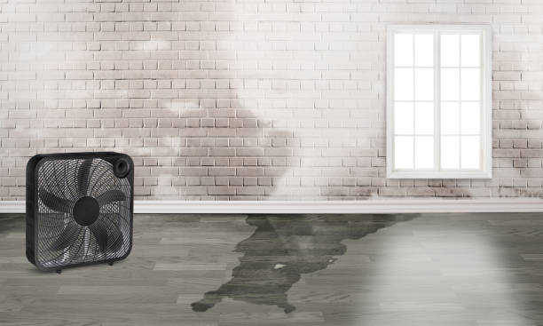 Best Fire Damage Restoration  in Wellington, UT