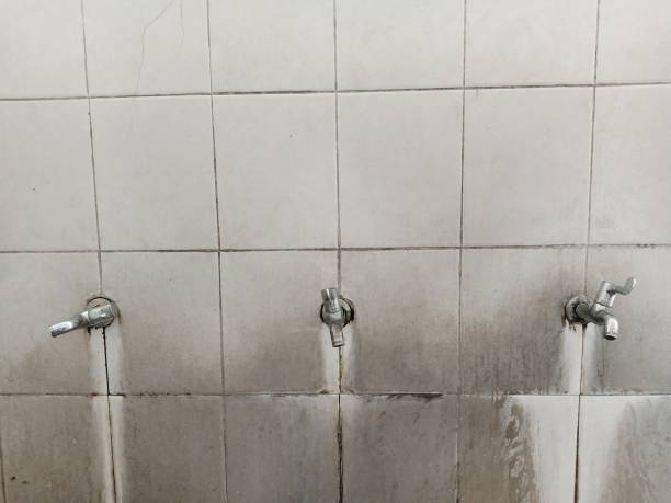 Best Flood damage cleanup  in Wellington, UT