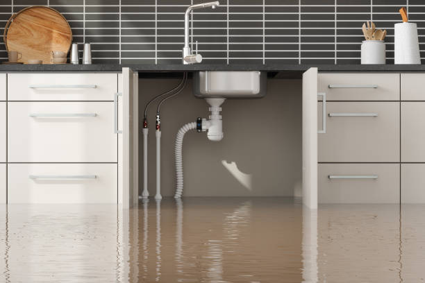 Best Residential water damage restoration  in Wellington, UT