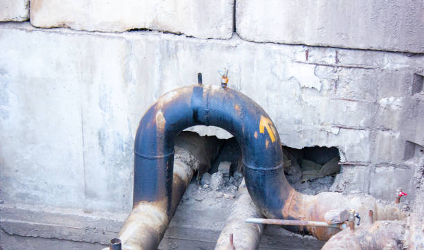 Best Water damage cleanup near me  in Wellington, UT