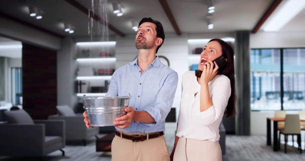 Best 24/7 water damage repair  in Wellington, UT