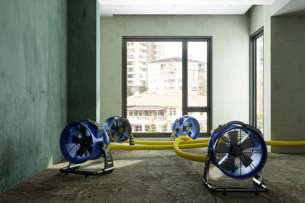 Best Flood restoration services  in Wellington, UT