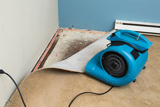 Best Water damage contractors near me  in Wellington, UT